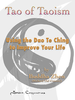 Tao of Taoism book